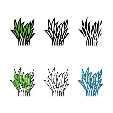 Set java fern color icon vector Ilustração Stock