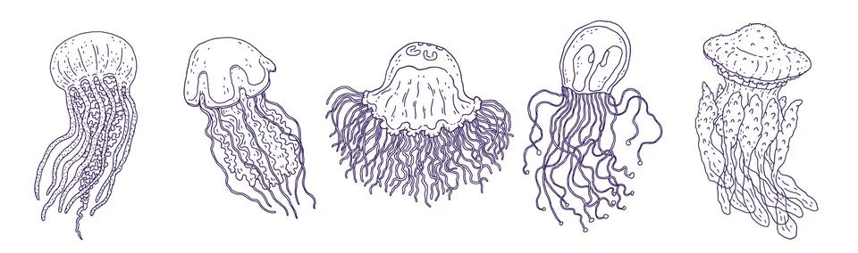 Set jellyfishes different forms. Vector wild ocean animals underwater life Stock Illustration