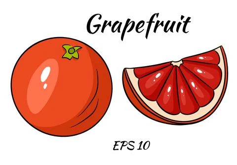 A set of juicy grapefruit. Stock Illustration
