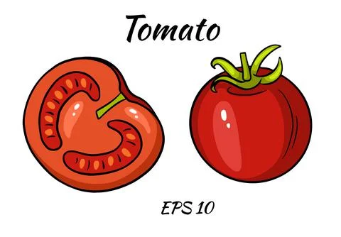 A set of juicy tomatoes. Stock Illustration