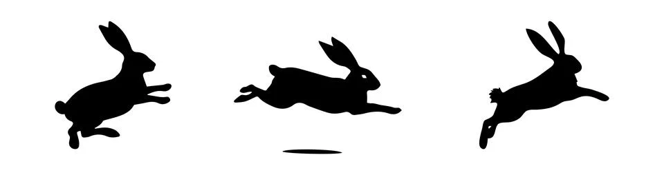 Set of Jumping Rabbit silhouettes. Easter bunnies. Isolated on a white backdrop Stock Illustration