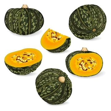 Set of Kabocha winter squash pumpkins. Stock Illustration