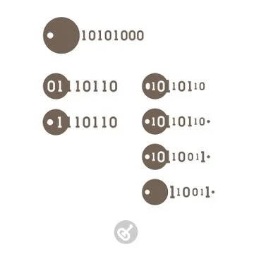 Set of keys with binary code. Electronic digital security system icon Stock Illustration