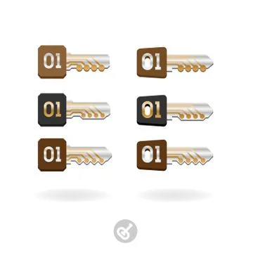 Set of keys with binary code. Electronic digital security system icon Stock Illustration
