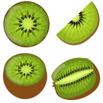 Set with kiwi in different angles isolated on white Stock Illustration