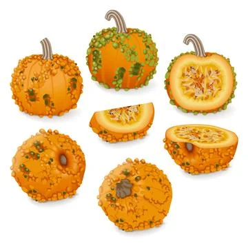 Set of Knucklehead Pumpkins. Ilustración de archivo