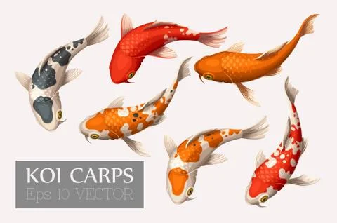 Set of koi carps Stock Illustration