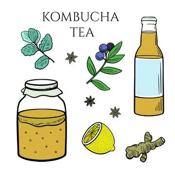 Set of kombucha mushroom in container, bottle with tea drink, ginger, mint Stock Illustration