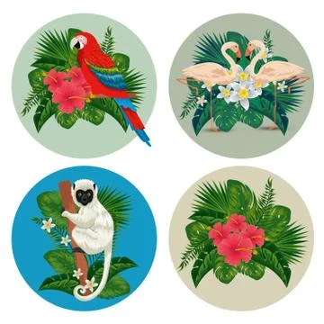 Set labels with exotic animals and tropical flowers 스톡 일러스트