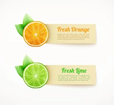 Set of labels with orange and lime Illustrazione stock