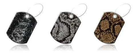 Set of labels of snake skin イラスト素材