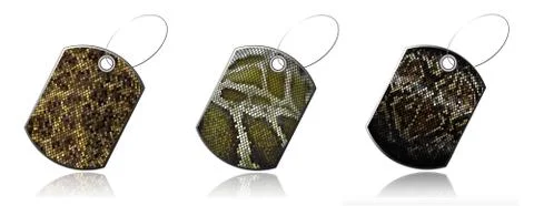 Set of labels of snake skin イラスト素材
