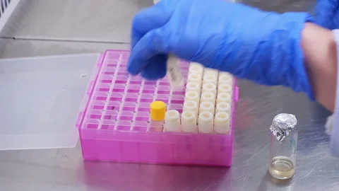 A set of laboratory test tubes Stock Footage 241085545