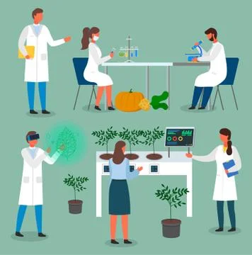 Set of laboratory workers, scientists exploring methods of growing natural bio Stock Illustration