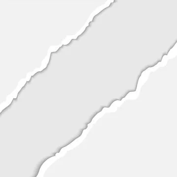 Set of lacerated elements Set of lacerated elements for you design.Vector ... Stock Photos