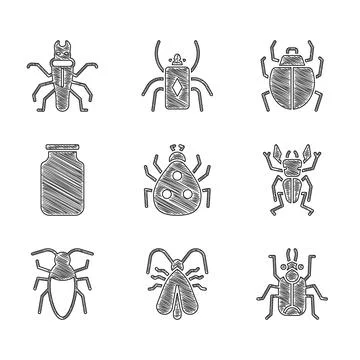 Set Ladybug, Clothes moth, Beetle, deer, Cockroach, Glass jar, Mite and Termite Illustrazione stock