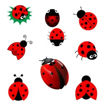 Set of ladybugs Stock Illustration