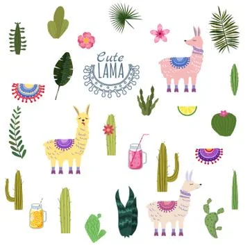 Set Lama Alpaca cacti drinks and decorative. Collection of elements for Stock Illustration