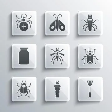 Set Larva insect, Fly swatter, Beetle bug, Mosquito, Glass jar, Spider and .. Stock Illustration