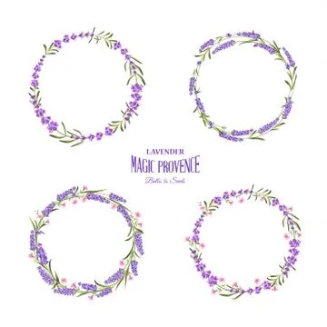 Set of lavender flowers elements Stock Illustration