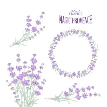 Set of lavender flowers elements. 스톡 일러스트