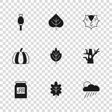 Set Leaf, Bare tree, Cloud with rain and sun, Chestnut, Opium poppy, and Pu.. Stock Illustration
