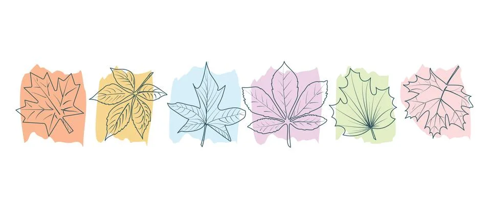 A set of leaf design elements Illustrazione stock