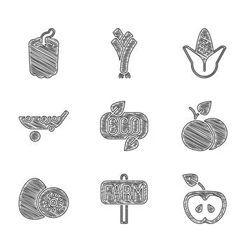Set Leaf Eco symbol, Location farm, Apple, Mango fruit, Kiwi, Peas, Corn and  Stock Illustration