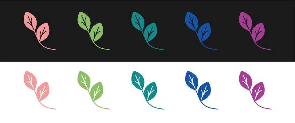 Set Leaf icon isolated on black and white background. Leaves sign. Fresh natural Stock Illustration