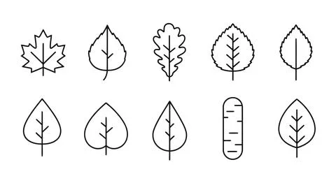 Set of leaf icons in black and white Illustrazione stock