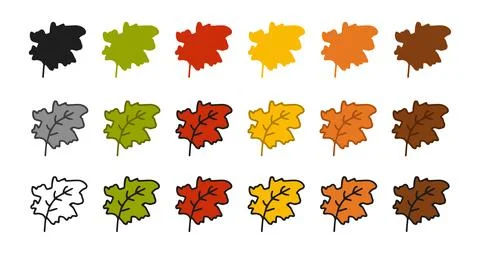 Set of leaf icons featuring colored illustrations, black silhouette, black ou イラスト素材