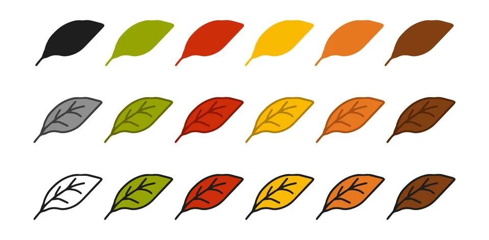 Set of leaf icons featuring colored illustrations, black silhouette, black ou Stock Illustration