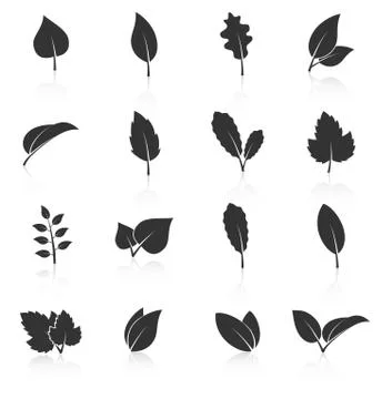 Set of leaf icons on white background Stock Illustration