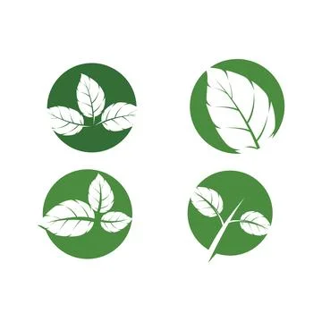 Set Leaf Mint Logo Template vector symbol Stock Illustration