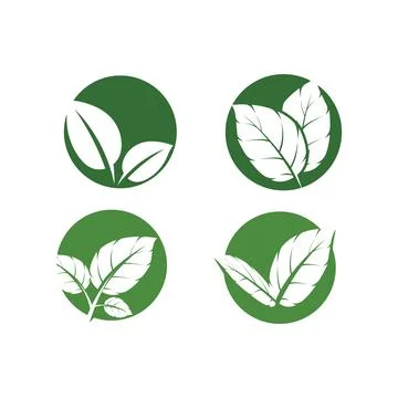 Set Leaf Mint Logo Template vector symbol Stock Illustration