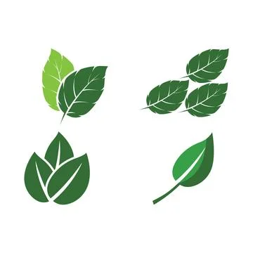 Set Leaf Mint Logo Template vector symbol Illustrazione stock
