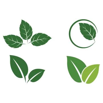 Set Leaf Mint Logo Template vector symbol Stock Illustration