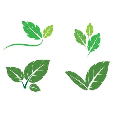 Set Leaf Mint Logo Template vector symbol Stock Illustration