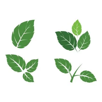 Set Leaf Mint Logo Template vector symbol Stock Illustration
