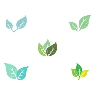Set Leaf Mint Logo Template Stock Illustration
