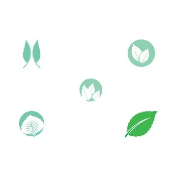 Set Leaf Mint Logo Template vector Stock Illustration