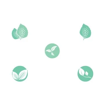 Set Leaf Mint Logo Template vector Stock Illustration