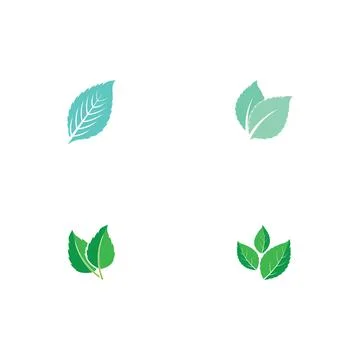 Set Leaf Mint Logo Template vector Stock Illustration