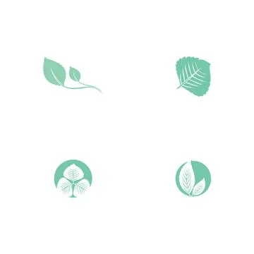 Set Leaf Mint Logo Template vector Stock Illustration