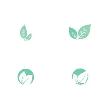 Set Leaf Mint Logo Template vector Stock Illustration