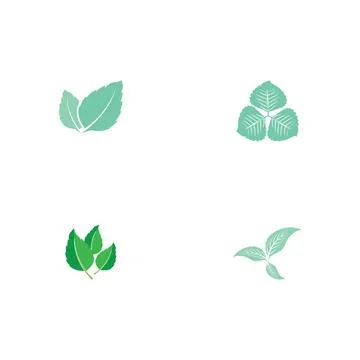Set Leaf Mint Logo Template vector Stock Illustration