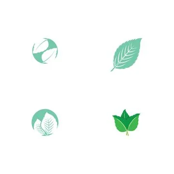 Set Leaf Mint Logo Template vector Stock Illustration