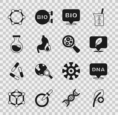 Set Leaf or leaves, DNA symbol, Location with leaf, Bio healthy food, Stomach Stock Illustration