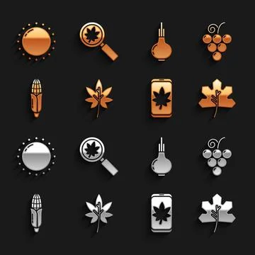 Set Leaf or leaves, Grape fruit, on mobile phone, Corn, Onion, Sun and Stock Illustration