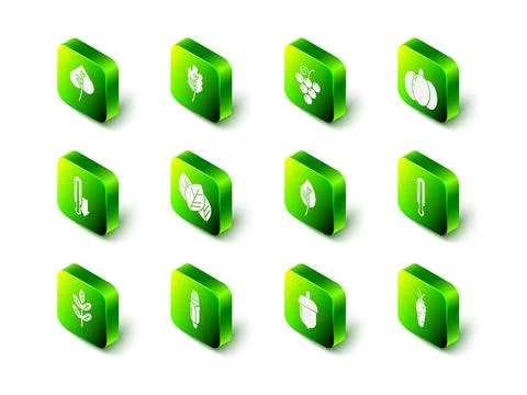 Set Leaf or leaves, Grape fruit, Pumpkin, Meteorology thermometer, Carrot, Acorn Stock Illustration